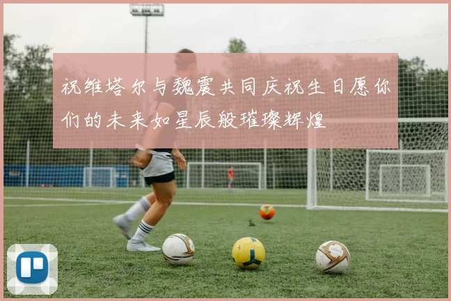 祝维塔尔与魏震共同庆祝生日愿你们的未来如星辰般璀璨辉煌